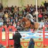 CHI Donaueschingen 2014