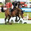 CHI Donaueschingen 2014