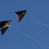 Drachenfest Fliegergruppe Hülben e.V. 2014