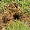10. Eierfliegen MSG Gechingen 06.04.2015