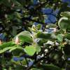 Garten 05.04.2015