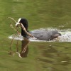 49. Internationaler Hahnweide-Segelflugwettbewerb 16.05.2015