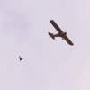 ICARE AIRMEET 13.06.2015
