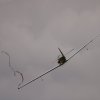 Airshow MSV-Blaustein-Bermaringen e.V. 27.06.2015