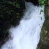 1dfh-140815-105