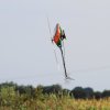 Horizon Airmeet Genderkingen 2015