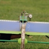 30. InterEx HMSV – Vaihingen/Enz 05.09.2015