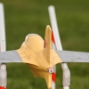 30. InterEx HMSV – Vaihingen/Enz 05.09.2015
