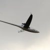 Böblinger Modellflugtag 27.09.2015