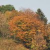 Kornbühl und Salmendinger Kapelle 13.10.2015