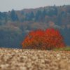 Kornbühl und Salmendinger Kapelle 13.10.2015