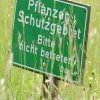 Pfullingen 03.06.2016