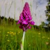 Pfullingen 03.06.2016
