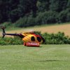 Modellflugtag Modellsportverein Langenau e.V.  10.07.201