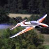 Modellflugtag Modellsportverein Langenau e.V.  10.07.201