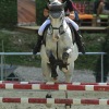 Springreitturnier Reiterkameradschaft Pfullingen e.V. 16.07.2016