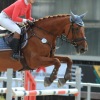 Springreitturnier Reiterkameradschaft Pfullingen e.V. 16.07.2016