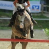 Springreitturnier Reiterkameradschaft Pfullingen e.V. 16.07.2016