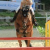 Springreitturnier Reiterkameradschaft Pfullingen e.V. 16.07.2016
