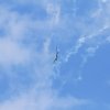 Horizon Airmeet Genderkingen 21.08.2016