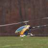 10. Eierfliegen MSG Gechingen 06.04.2015