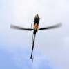 10. Eierfliegen MSG Gechingen 06.04.2015