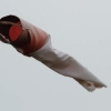 10. Eierfliegen MSG Gechingen 06.04.2015