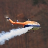 10. Eierfliegen MSG Gechingen 06.04.2015