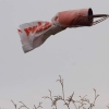 10. Eierfliegen MSG Gechingen 06.04.2015