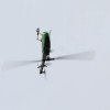 10. Eierfliegen MSG Gechingen 06.04.2015