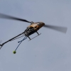 10. Eierfliegen MSG Gechingen 06.04.2015
