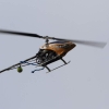 10. Eierfliegen MSG Gechingen 06.04.2015