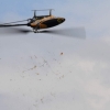 10. Eierfliegen MSG Gechingen 06.04.2015