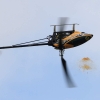 10. Eierfliegen MSG Gechingen 06.04.2015