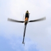 10. Eierfliegen MSG Gechingen 06.04.2015