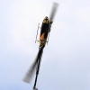 10. Eierfliegen MSG Gechingen 06.04.2015