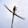 10. Eierfliegen MSG Gechingen 06.04.2015