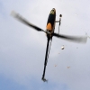 10. Eierfliegen MSG Gechingen 06.04.2015