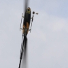 10. Eierfliegen MSG Gechingen 06.04.2015