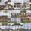 10. Eierfliegen MSG Gechingen 06.04.2015