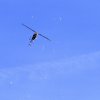 11. Eierfliegen @ MSG Gechingen 02.04.2018