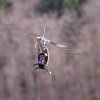 11. Eierfliegen @ MSG Gechingen 02.04.2018