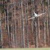 11. Eierfliegen @ MSG Gechingen 02.04.2018