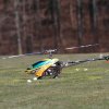 11. Eierfliegen @ MSG Gechingen 02.04.2018