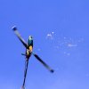 11. Eierfliegen @ MSG Gechingen 02.04.2018