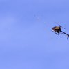 11. Eierfliegen @ MSG Gechingen 02.04.2018