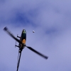 11. Eierfliegen @ MSG Gechingen 02.04.2018