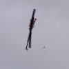 11. Eierfliegen @ MSG Gechingen 02.04.2018