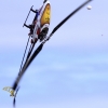 11. Eierfliegen @ MSG Gechingen 02.04.2018