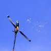 11. Eierfliegen @ MSG Gechingen 02.04.2018